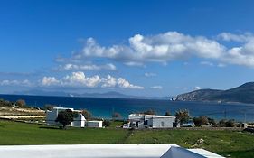 Studios Venetsanos